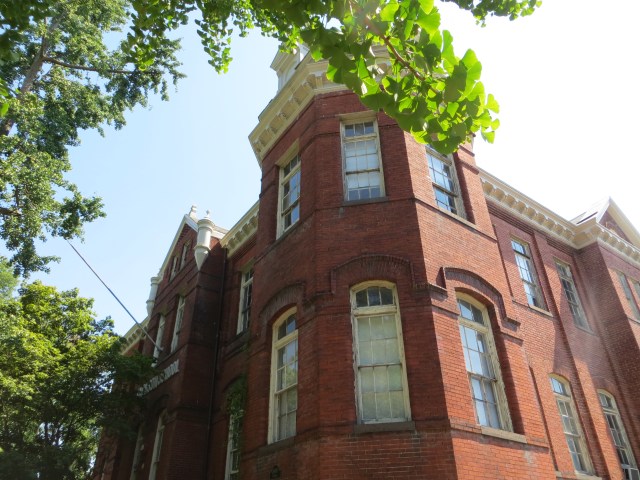 Anticipation & Trepidation 